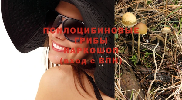 не бодяженный Инсар