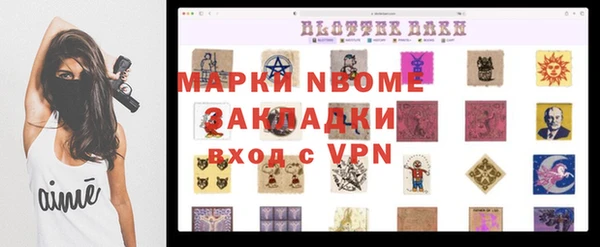 дмт Инта