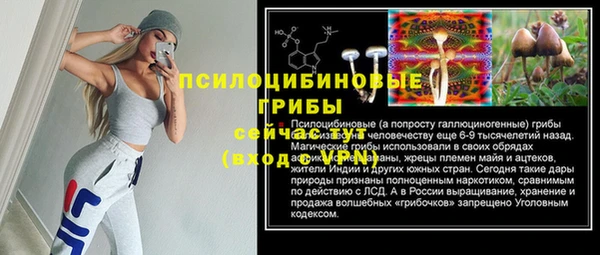 дмт Инта