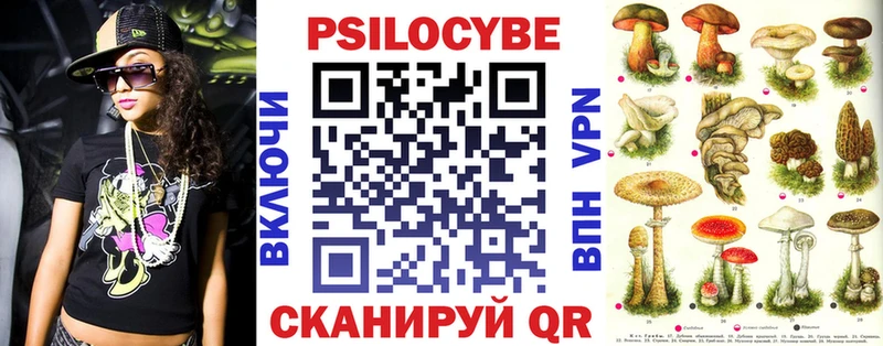 Купить где  Сим  Псилоцибиновые грибы Psilocybe 
